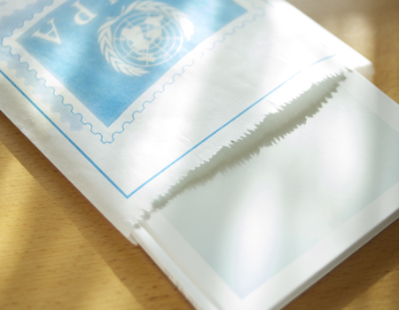 国連郵政の紙袋