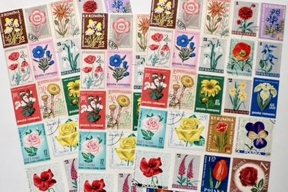 ポストカード 花の商品写真