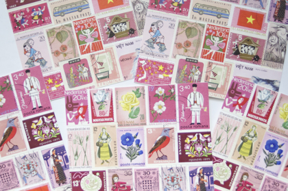 ポストカード ピンクの商品写真