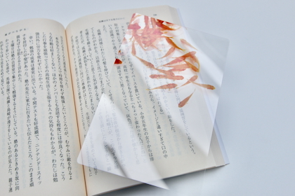 透明写真栞の商品写真