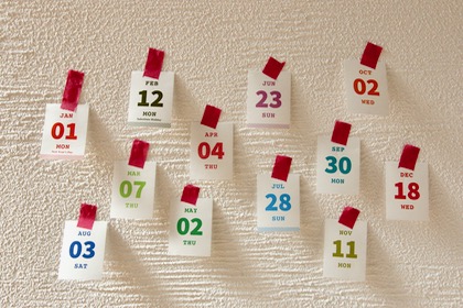 【取扱終了】12 color Daily Flip Calendar for journals 2024の商品写真
